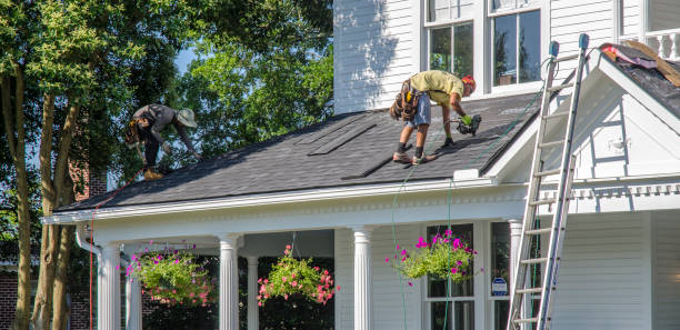 Best Roof Gutter Cleaning  in Washington, WV